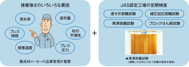 構造用集成材 木造住宅の木材の樹種と強度 無垢材との比較 Web Housing By アイフルホーム